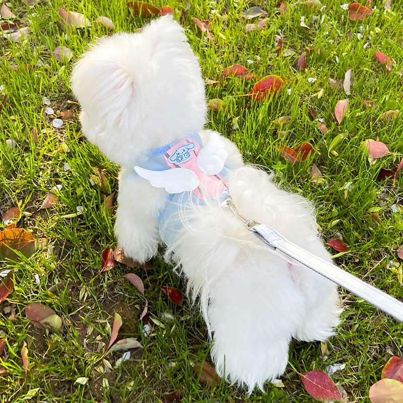 联名背心牵引绳小型犬专用