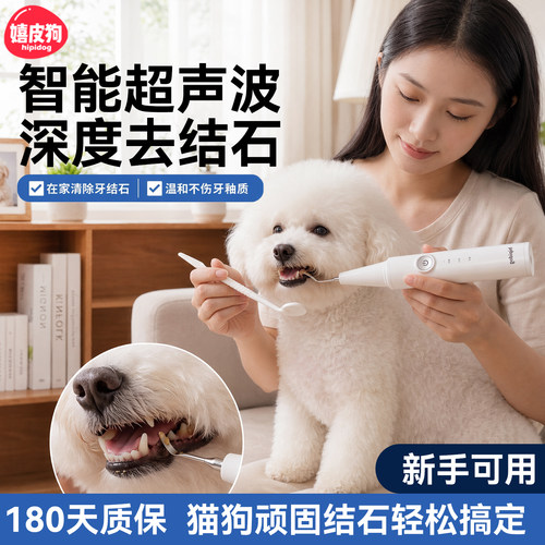 宠物医用级水准洁牙器