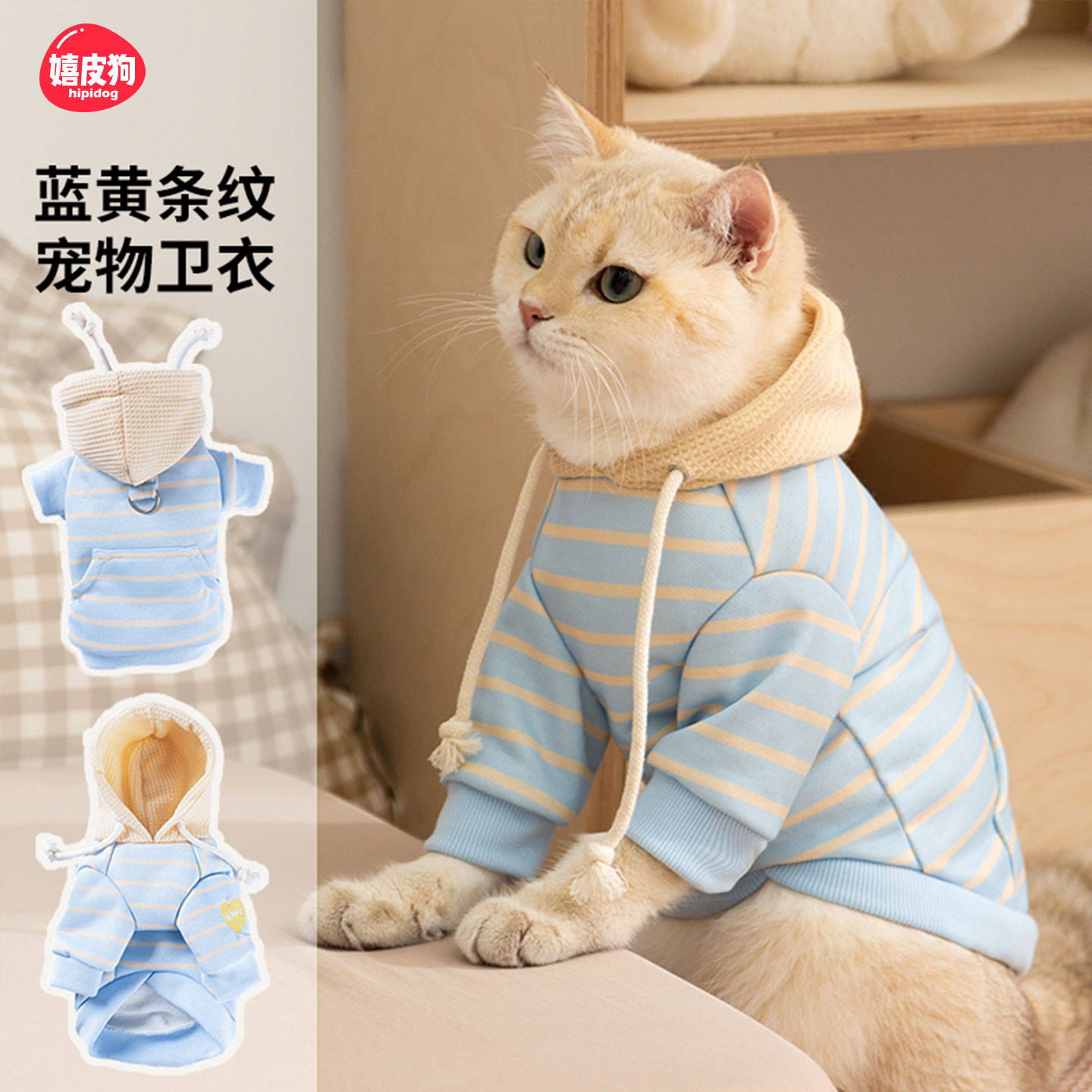 秋天小猫咪衣服防掉毛薄款德文猫暹罗布偶宠物幼猫阿比猫秋季卫衣