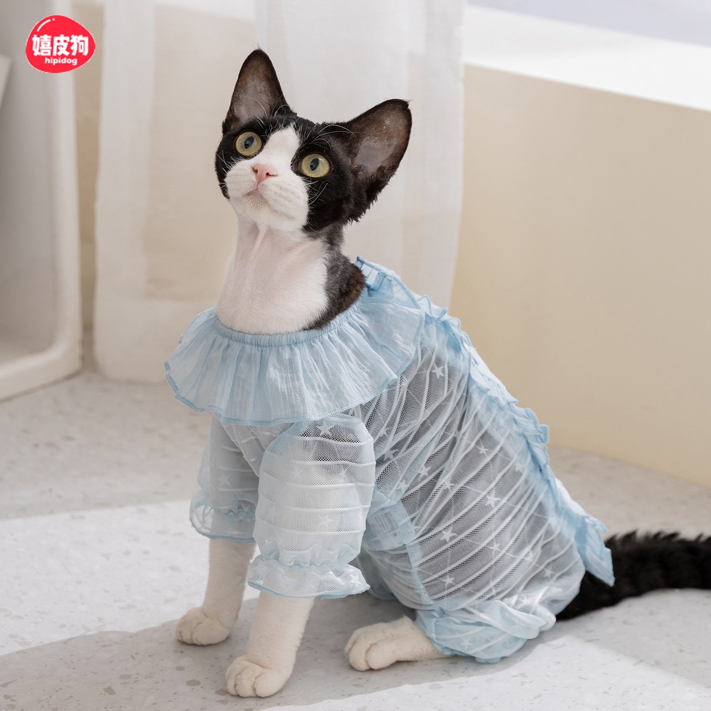 小猫咪防掉毛衣服新款透气轻薄网纱四脚衣德文布偶猫比熊泰迪衣服