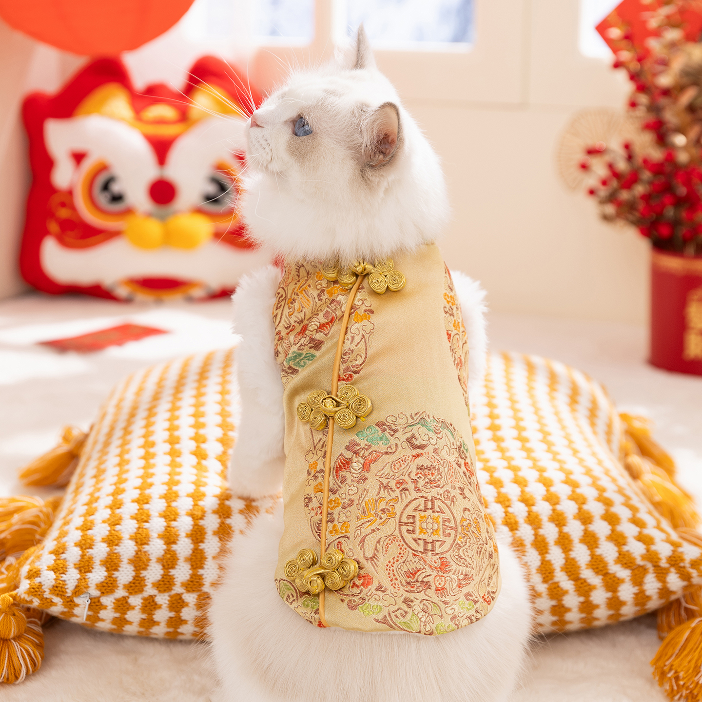 喜庆猫咪衣服2025新款冬装德文猫布偶猫暹罗宠物新年小猫过冬棉衣