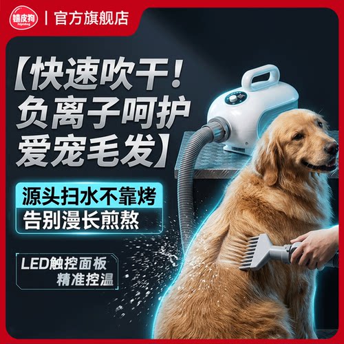 双榜第1丨嬉皮狗NEX智能吹水机