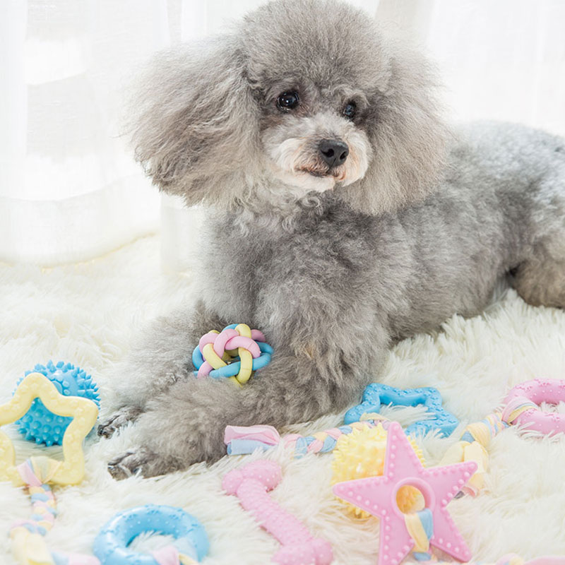 逗狗狗玩具球发声小狗柯基小型幼犬独处比熊柴犬专用博美解闷神器