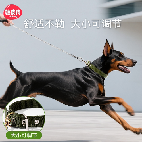 宠物不锈钢狗链牵引绳
