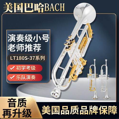 巴哈小号乐器金铜镀银降Bb调三音初学检定考试专业演奏