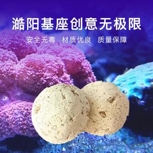 澔阳 基座星花珊瑚基座纽扣珊瑚基座草皮珊瑚半球基座通用SPS基座