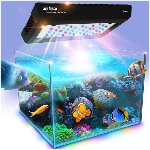 施特驰珊瑚灯珊瑚缸施特驰