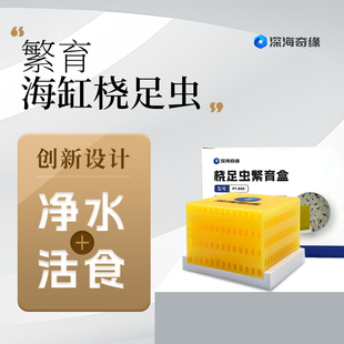 深海奇缘桡足虫繁育盒海缸清洁工繁殖盒海水鱼缸专用净水活食栖息