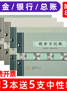 现金日记账店铺银行会计财务