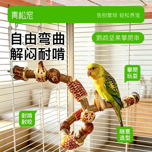 青松宠鹦鹉坚果啃咬攀爬爬梯
