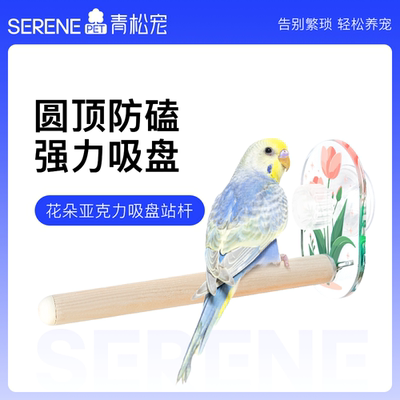 青松宠鹦鹉亚克力大吸盘站杆秋千
