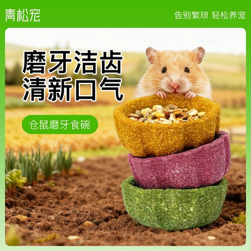 青松宠仓鼠磨牙零食南瓜碗