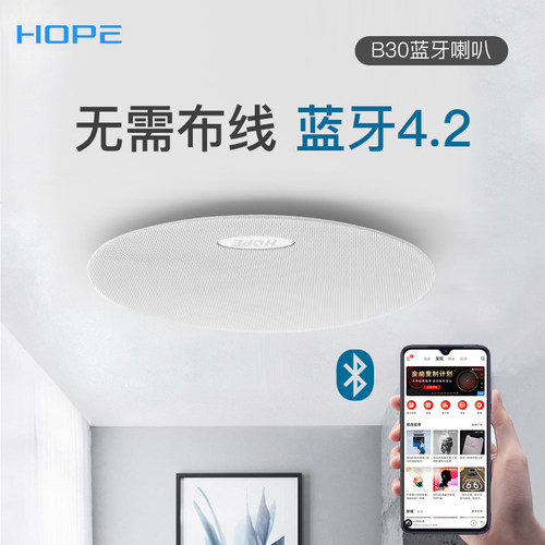HOPE/向往蓝牙音响喇叭家用天花