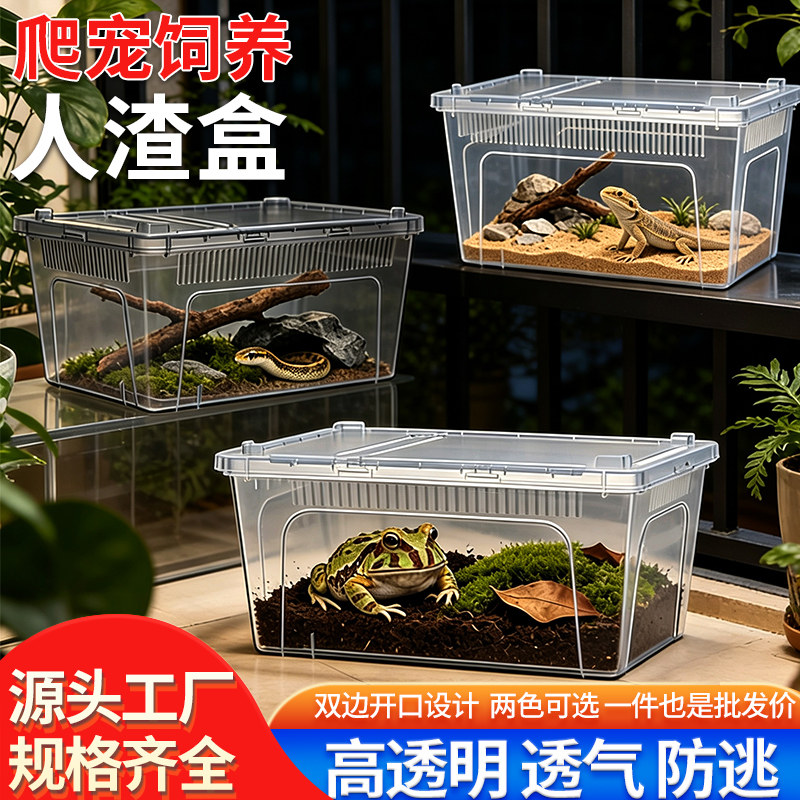 塑料养殖盒爬虫饲养盒宠物箱蜘蛛守宫角蛙甲虫蚕宝宝蛇爬宠箱7