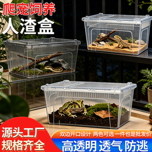 塑料养殖盒爬虫饲养盒宠物箱蜘蛛守宫角蛙甲虫蚕宝宝蛇爬宠箱7