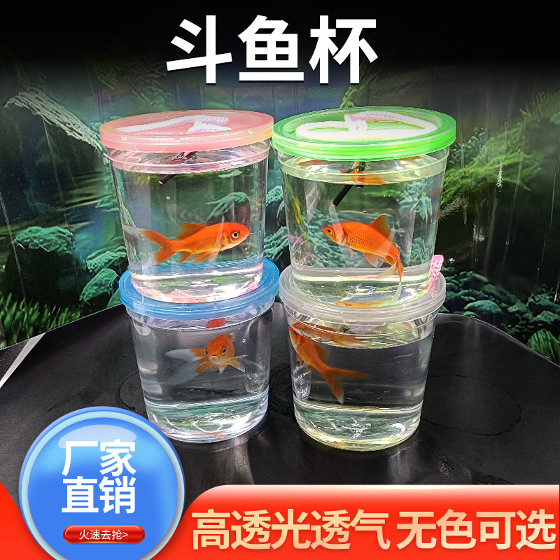 斗鱼杯水母杯迷你小鱼缸斗鱼盒手提塑料透明宠物盒昆虫小鱼瓶龟瓶