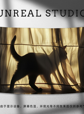 【猫咪光影】原创挂布ins风宿舍装饰摄影背景布房间卧室墙布挂毯