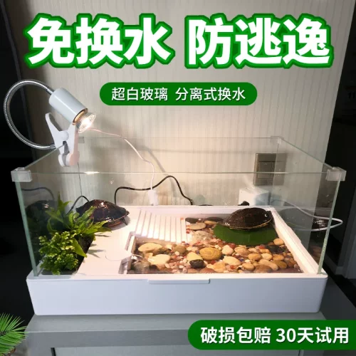 乌龟缸造景带晒台爬台生态绿植亚克力玻璃饲养箱过滤循环系统客厅