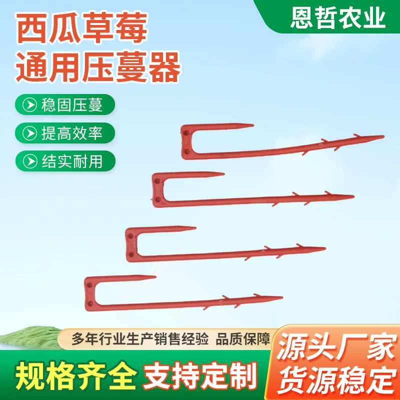 西瓜压蔓器草莓秧苗固定器育苗藤蔓瓜秧卡子叉子压苗叉塑料固定器