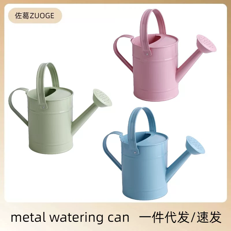 铁浇水壶洒水壶花洒园艺工具轻便舒适多功能浇花种菜户外浇水桶