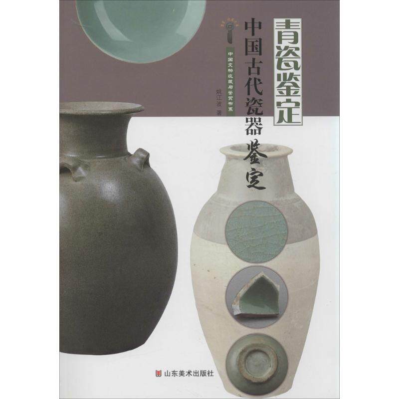 中国古代瓷器鉴定 姚江波 著 古董,玉器,收藏 艺术 山东美术出版社
