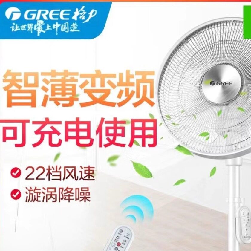 格力电风扇直流一级能效落地扇家用风扇轻音节能遥控FSZ-3008Bg7