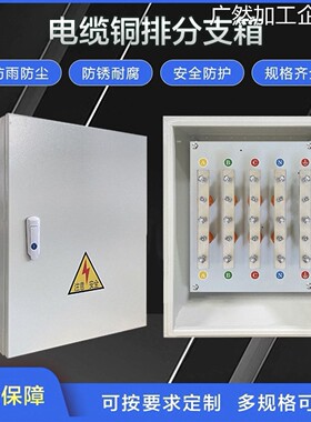新品可开票对公矿物电缆T接箱铜分流箱bttrz国标等电位转接转排分