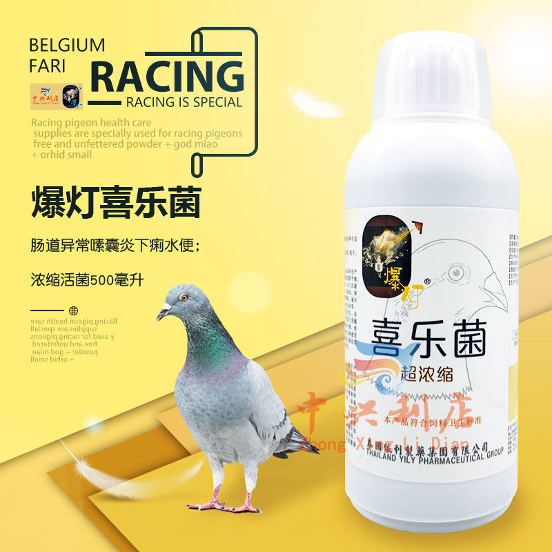 爆灯【喜乐菌】超浓缩500毫升/整肠/活性菌液/鸽药/百亿活菌益菌