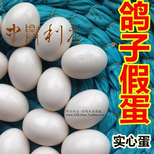 实惠鸽具/信鸽赛鸽肉鸽子用具/种鸽引蛋/育种蛋/实心蛋/鸽子假蛋