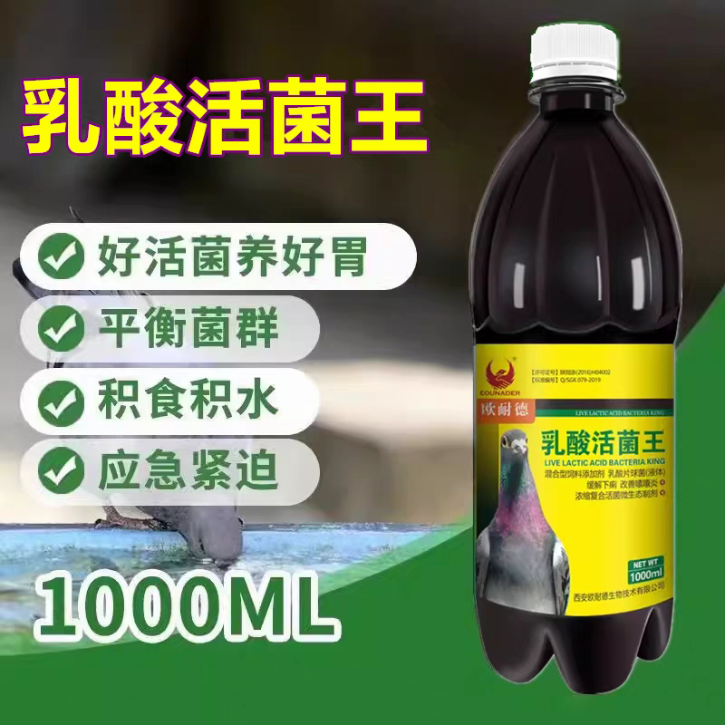 欧耐德【乳酸活菌王】1000毫升/整肠王/鸽药益菌活菌王