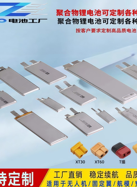 工厂直销定制航模电池无人机吊运锂电池12v-29.6v各种型号电池