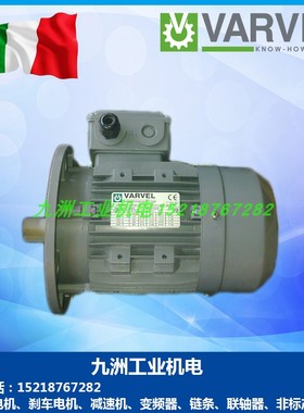 VARVEL电机T63B4 T71B4 T80B4 T90L4 T100B4 T112A4 132S4 T132M4
