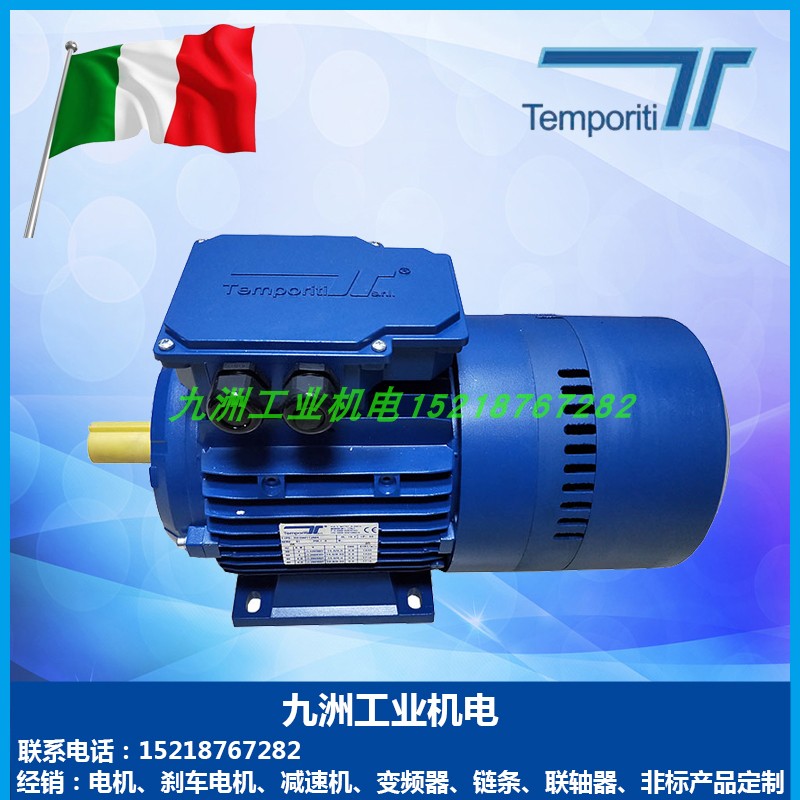 TEMPORITISPA刹车电机REBM90LA4