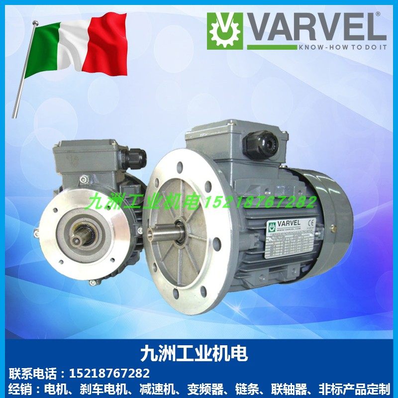 意大利varvel电机T7180B4