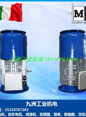 意大利MT刹车电机TN112A4 4.0KW TN132SA4 5.5KW三相异步抱闸马达