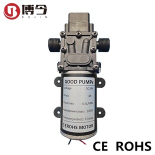 新款DC12V24V48V100W博今隔膜泵3215Y四分智能泵清洗消毒机喷现货