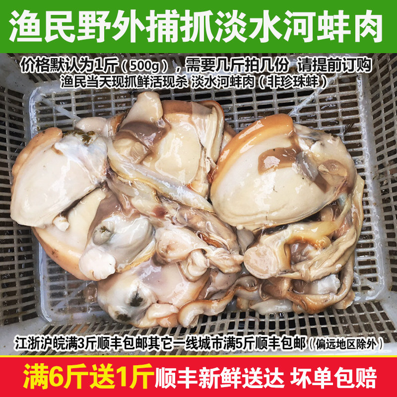 淡水河鲜活大河蚌肉鲜活现杀淡水河蚌肉去壳净肉500g新鲜非珍珠蚌