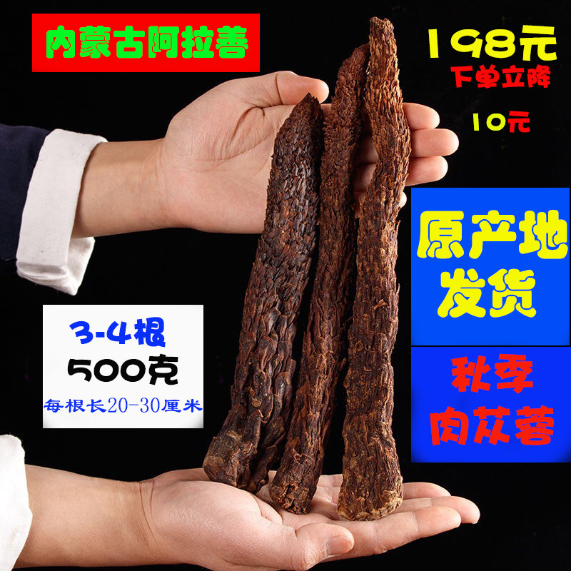 肉苁蓉阿拉善内蒙古仙草天然中药整根片男性锁阳泡酒料泡水淫羊藿