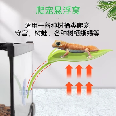 树蛙爬宠悬浮窝守宫蜥蜴壁虎蜘蛛爬虫造景生态雨林缸专用悬浮平台