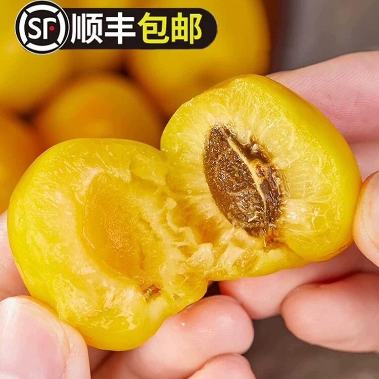 新疆小白杏新鲜杏子水果新鲜应季孕妇水果当季甜杏子4斤顺丰空运