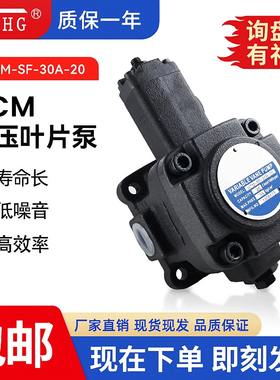 弋盛机械VCM-SF-12A/12B/12C/12D/20A/20B/20C/20D-10液压叶片泵