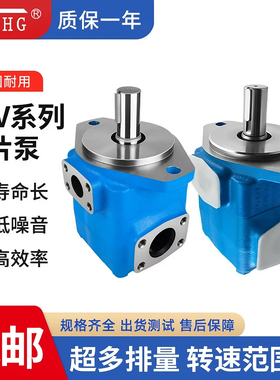 叶片液压泵35V-17/21/25/30/32/35/38/42A-1ABCD-22R单级叶片油泵