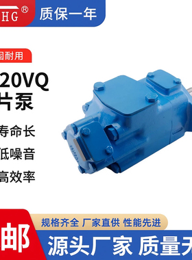 代替威格士液压泵3520VQ-21/25/30/35A6-1/86AABBCCDD双联叶片泵