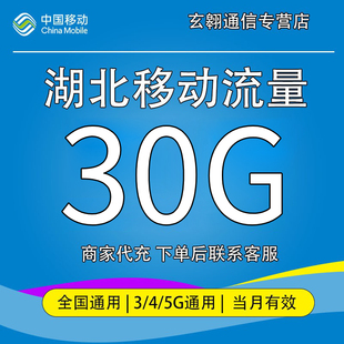 湖北移动流量充值30G中国移动流量加油包全国通用流量当月有效
