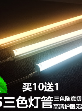 AIIIIIIA一体化T5三色变光灯管