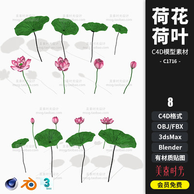 荷塘植物花卉花苞花朵荷花荷叶C4D模型3dsmax blender素材C1716