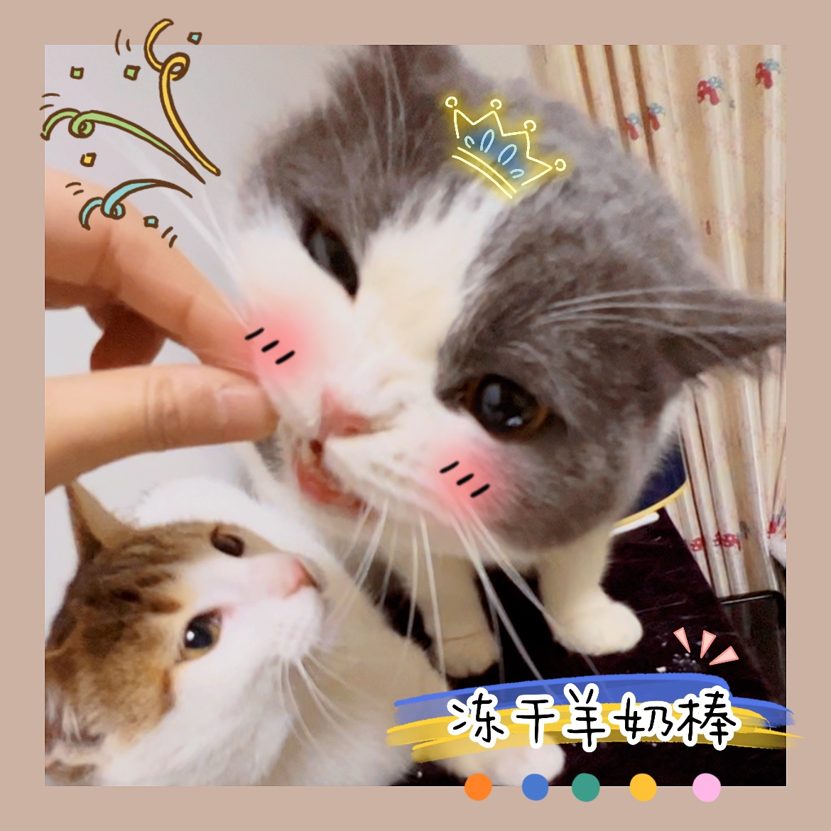 猫狗通用冻干羊奶棒