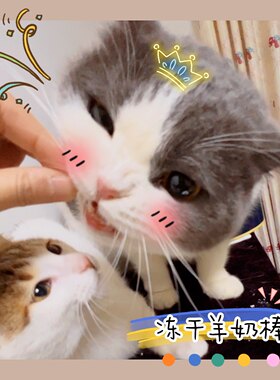 猫狗通用冻干羊奶棒