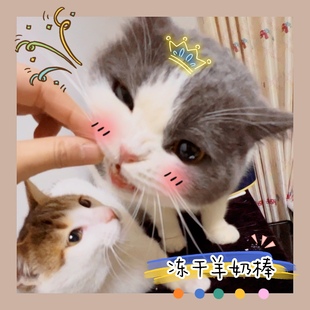 猫狗通用冻干羊奶棒