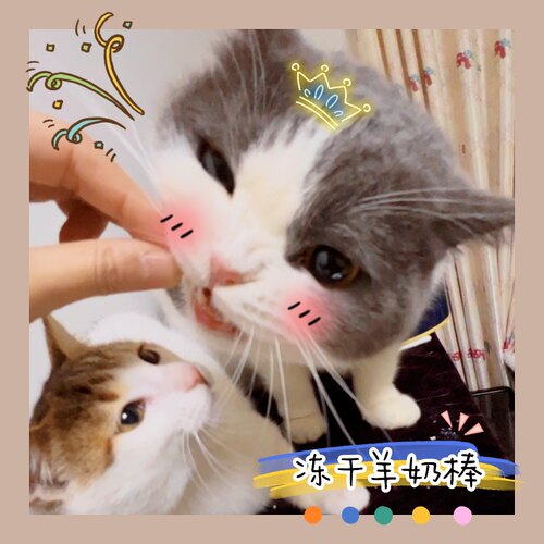猫狗通用冻干羊奶棒